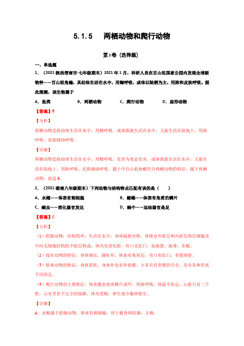 5-1-5 两栖动物和爬行动物(练习)-八年级生物上册课堂(解析版)