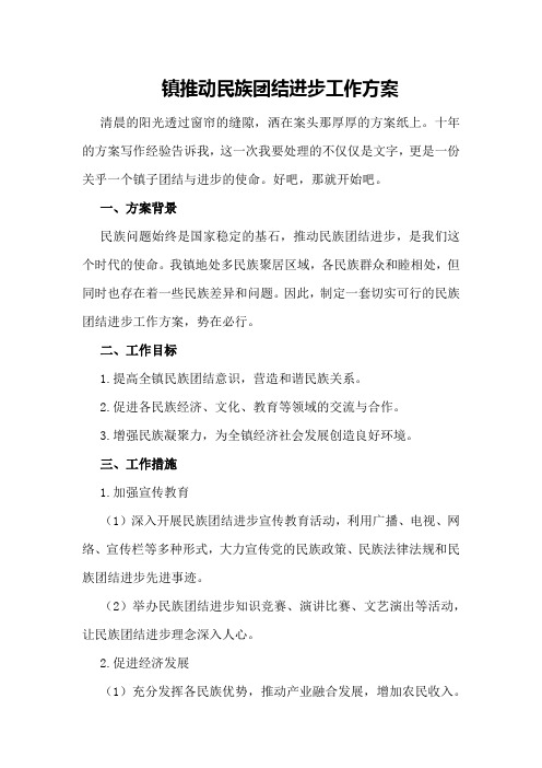 镇推动民族团结进步工作方案