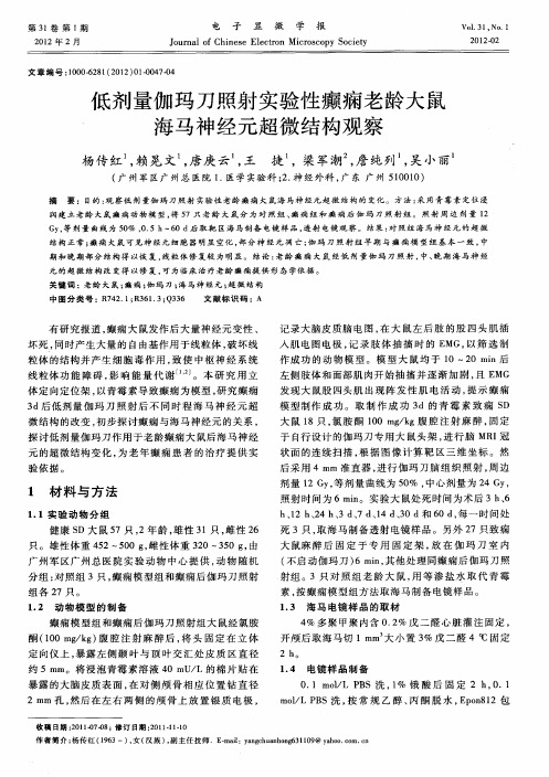 低剂量伽玛刀照射实验性癫痫老龄大鼠海马神经元超微结构观察