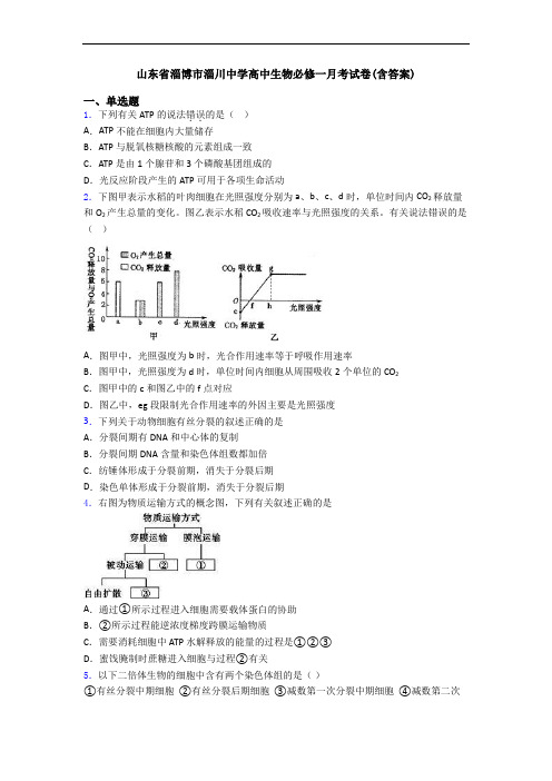 山东省淄博市淄川中学高中生物必修一月考试卷(含答案)