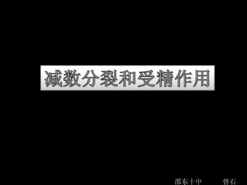 高三复习 减数分裂与受精作用