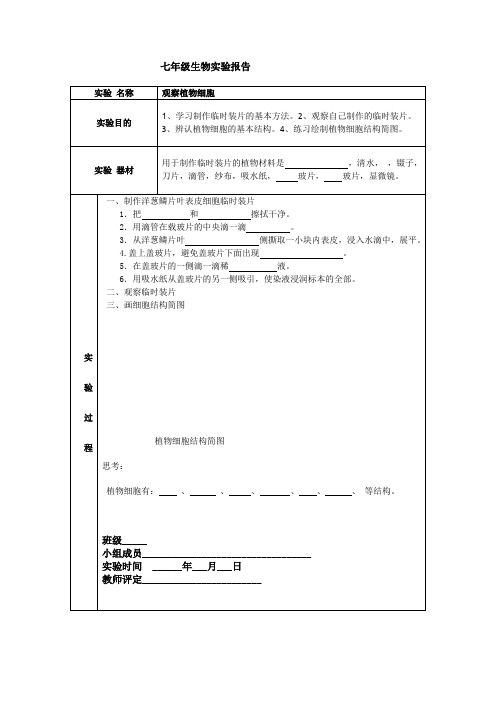 观察植物细胞的实验报告