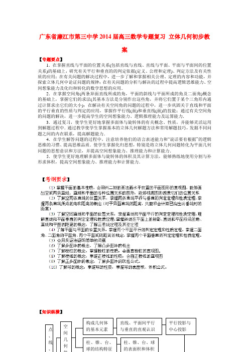 广东省廉江市第三中学高三数学专题复习 立体几何初步教案