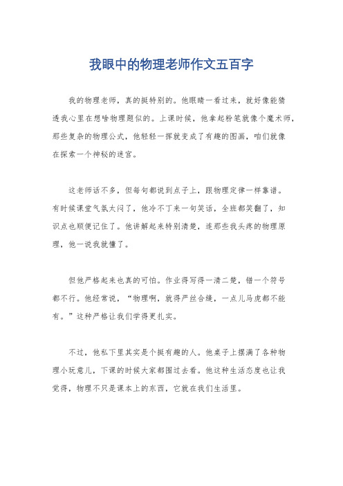 我眼中的物理老师作文五百字