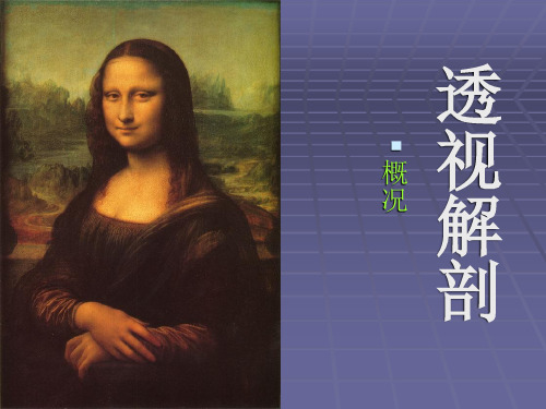 透视解剖