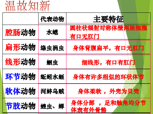 济南版脊椎动物的主要类群(鱼类,两栖类和爬行类)