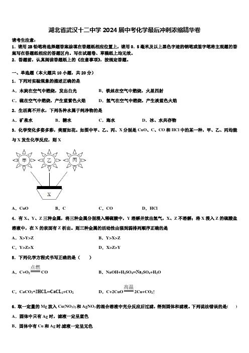 湖北省武汉十二中学2024届中考化学最后冲刺浓缩精华卷含解析