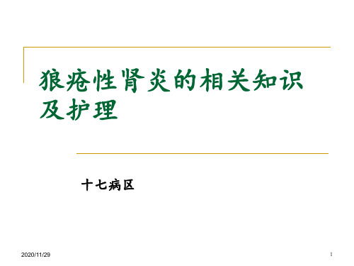 狼疮性肾炎的相关知识及护理 ppt课件