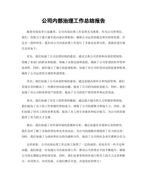 公司内部治理工作总结报告