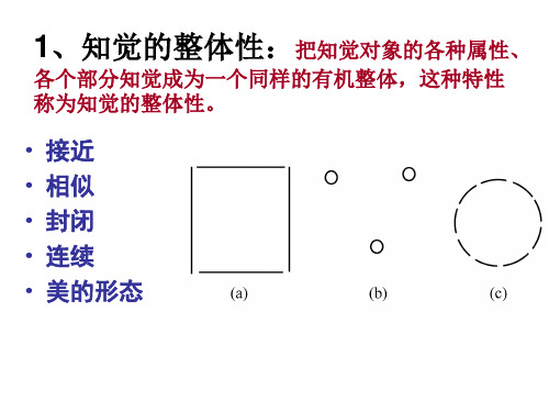 感觉知觉特征