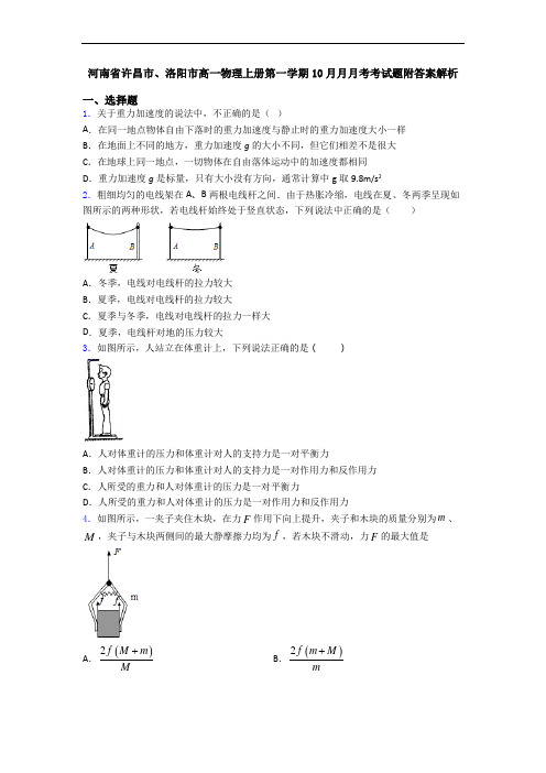 河南省许昌市、洛阳市高一物理上册第一学期10月月月考考试题附答案解析