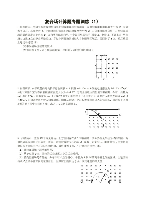 马井堂复合场计算题专题训练【答案】