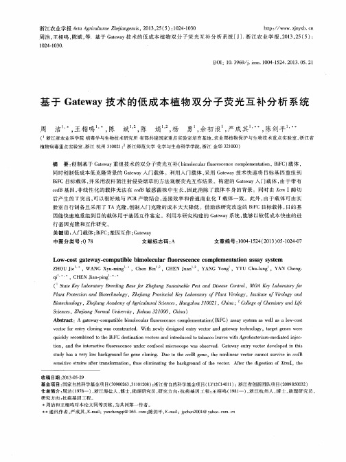基于Gateway技术的低成本植物双分子荧光互补分析系统