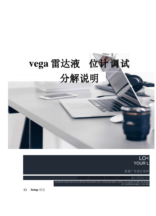 vega雷达液位计调试分解说明