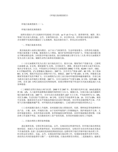 环境污染调查报告10篇