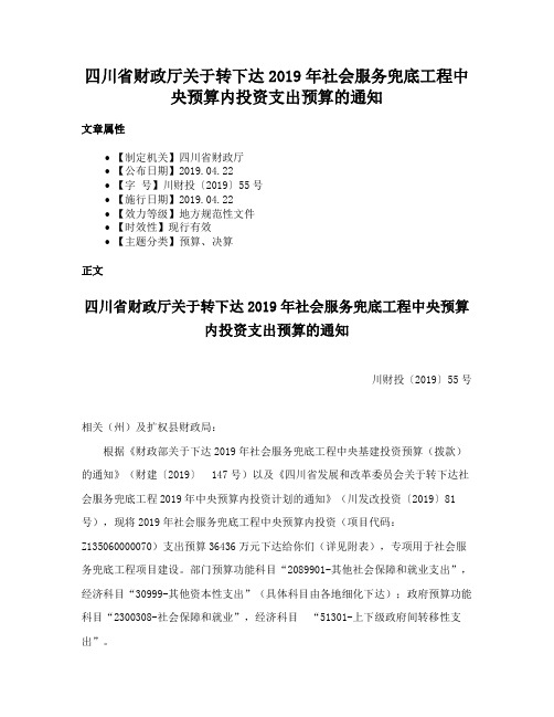 四川省财政厅关于转下达2019年社会服务兜底工程中央预算内投资支出预算的通知