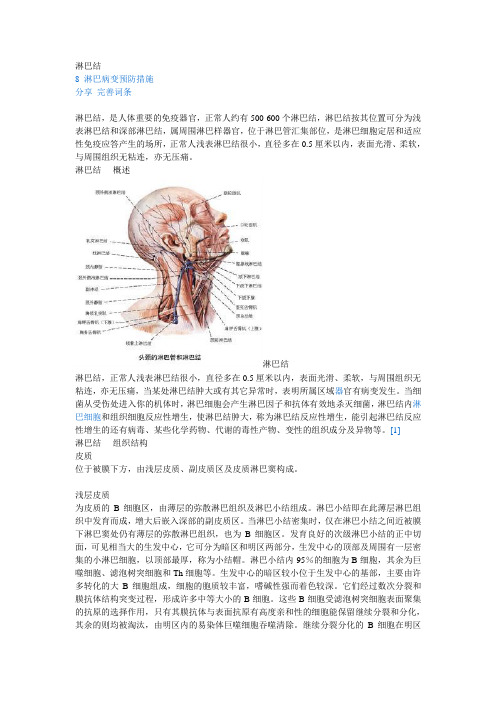 淋巴结