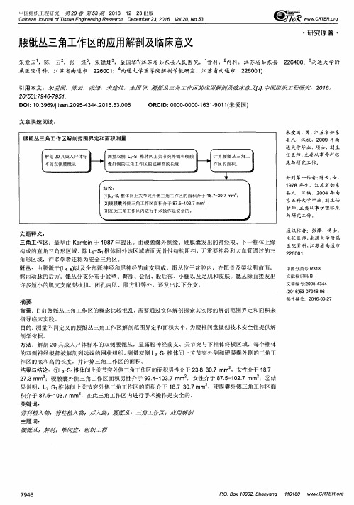 腰骶丛三角工作区的应用解剖及临床意义