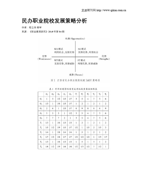 民办职业院校发展策略分析