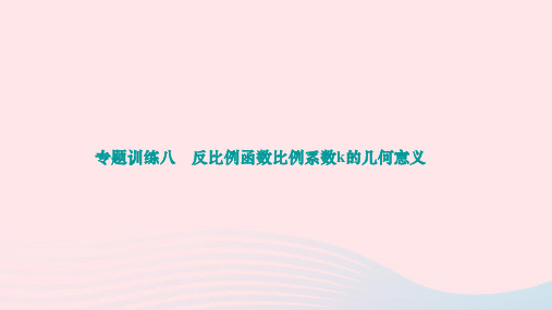 _第17训练八反比例函数比例系数k的几何意义作业课件 2023—2024学年华东师大版数学八年级下册