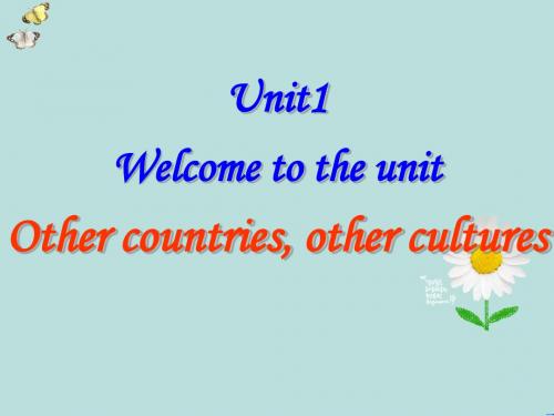 牛津译林版高中英语模块9 Unit 1 Other countries other cultures