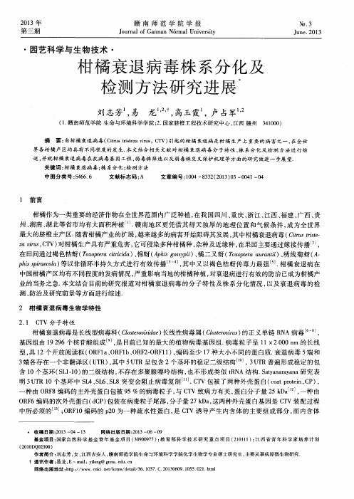 柑橘衰退病毒株系分化及检测方法研究进展