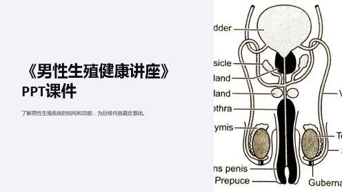 《男性生殖健康讲座》课件