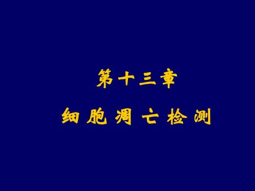 第13章细胞凋亡检测