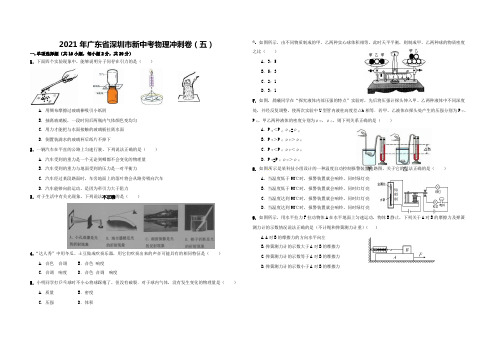 2021年广东省深圳市新中考物理冲刺卷(5)含答案