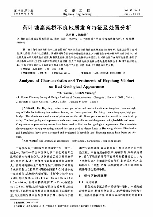 荷叶塘高架桥不良地质发育特征及处置分析