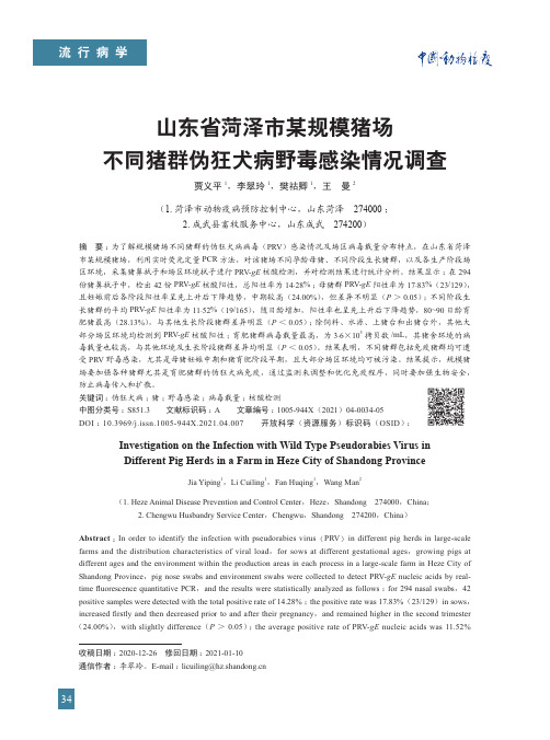 山东省菏泽市某规模猪场不同猪群伪狂犬病野毒感染情况调查