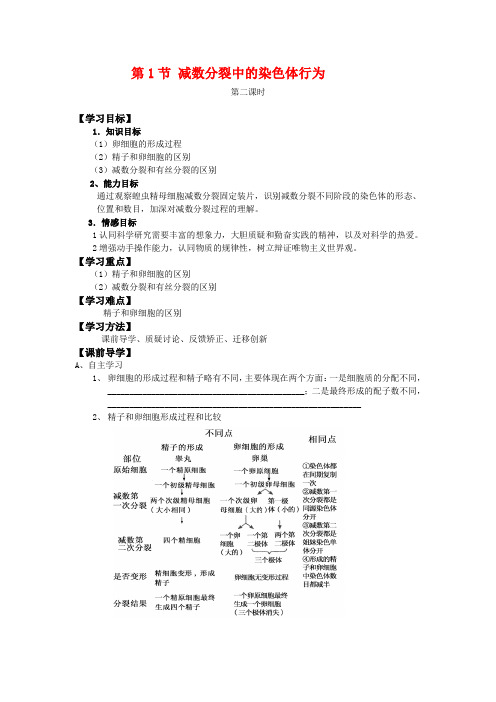 高中生物： 21 减数分裂中的染色体行为（学案）浙科版必修2