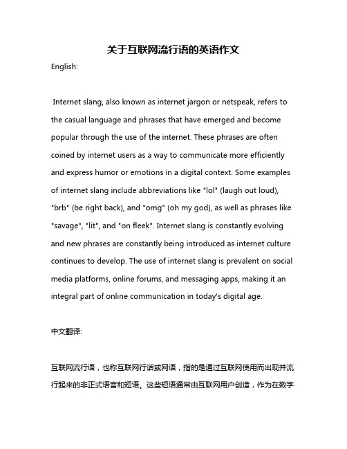 关于互联网流行语的英语作文