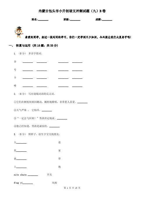 内蒙古包头市小升初语文冲刺试题(九)B卷