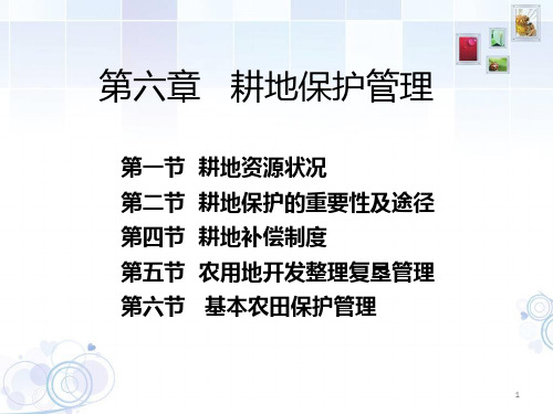 第六章-耕地保护与基本农田建设 PPT课件