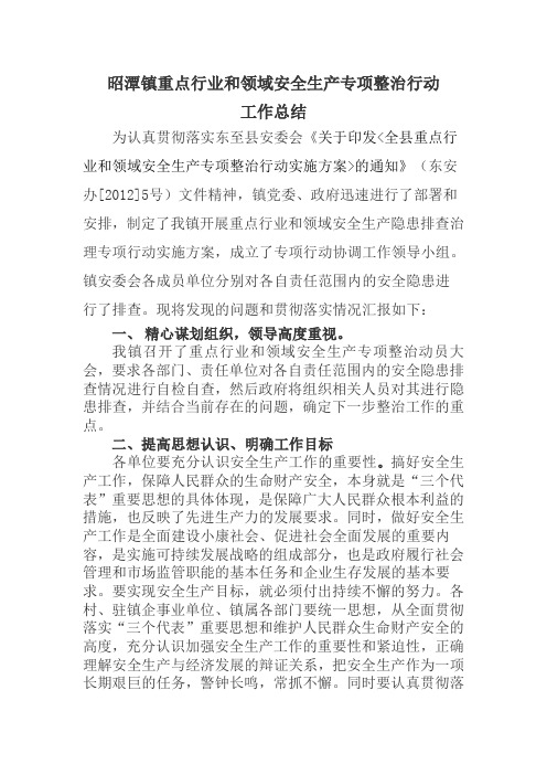 昭潭镇重点行业领域专项整治总结报告