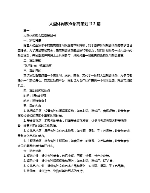 大型休闲聚会招商策划书3篇