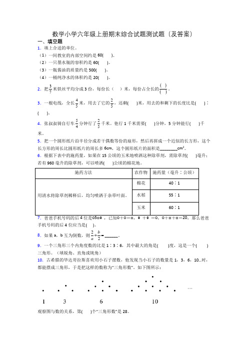 数学小学六年级上册期末综合试题测试题(及答案)