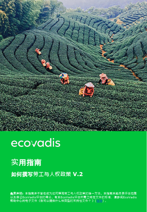 ecovadis如何撰写劳工与人权政策