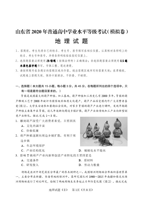 山东省2020年普通高中学业水平等级考试(模拟卷)地理试题(附答案解析)