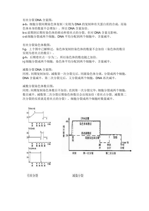 有丝分裂、减数分裂DNA含量和染色体变化