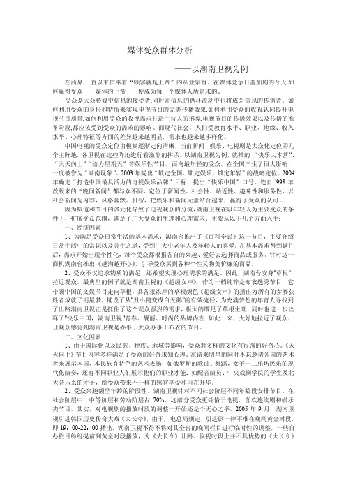 媒体受众群体分析.doc