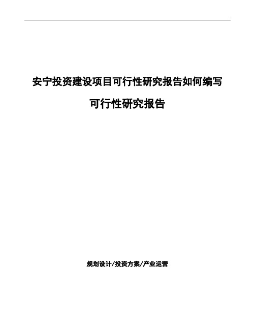 安宁项目可行性研究报告(模板参考)