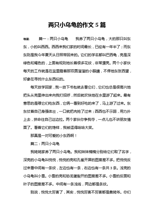 两只小乌龟的作文5篇