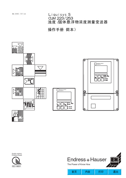 E+H浊度仪