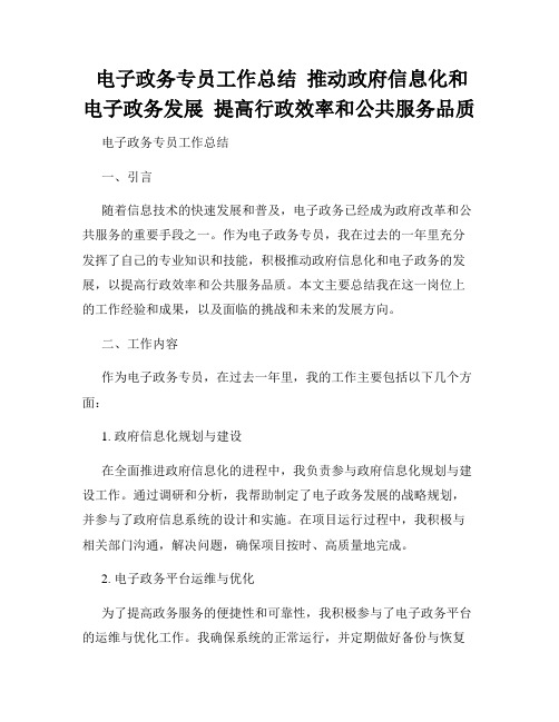  电子政务专员工作总结  推动政府信息化和电子政务发展  提高行政效率和公共服务品质