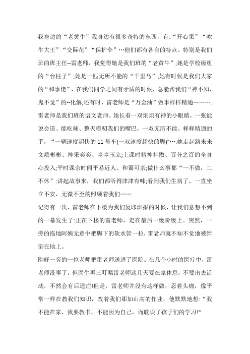 我的老师像老黄牛作文700字