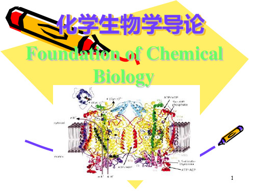 化学生物学导论绪论