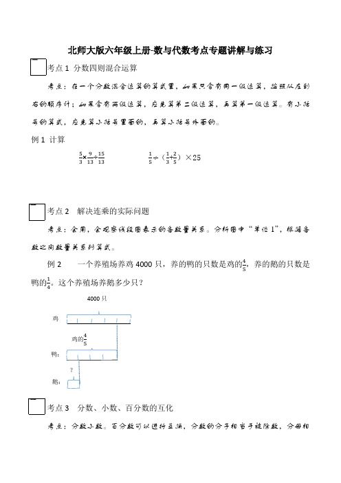 六年级数学上册【期末专项提升】-数与代数考点提升(含答案)(北师大版)