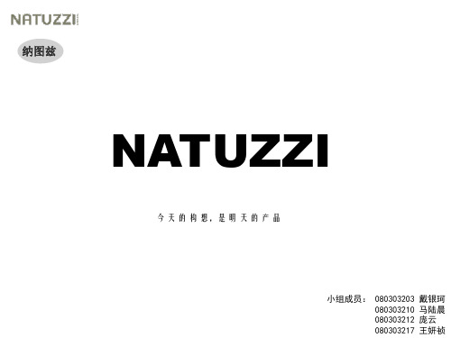 家具品牌NATUZZI产品分析 23页PPT文档